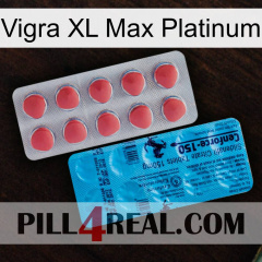 Vigra Xl Max Platinum new14